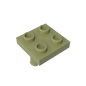 GDS-1191 - Plate 2 x 2 with 2 Pins