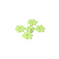 GDS-1441 - Plant, Flower - Small