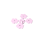 GDS-1441 - Plant, Flower - Small