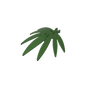GDS-1443 - Plant, Leaves 6 x 5 Swordleaf with Clip  (thick open O clip)