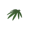 Dark Olive Green