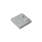 GDS-1483 - Plate Special 2 x 2 with Only 2 studs