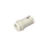 White 1