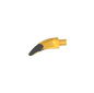 GDS-1583 - Animal Body Part, Barb / Claw / Tooth / Talon / Horn, Medium