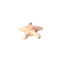 GDS-2096 - Animal, Starfish