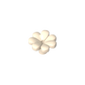 Papaya Whip