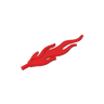 Bright Red 21
