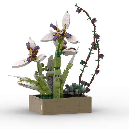 Orchid potted