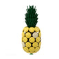 MOC-42211 Pineapple