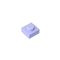 GDS-501 - Plate 1 x 1