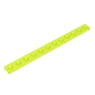 GDS-508 - Plate 1 x 12