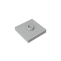 GDS-805 - Plate Special 2 x 2 with Groove and Center Stud (Jumper)