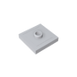 GDS-805 - Plate Special 2 x 2 with Groove and Center Stud (Jumper)