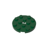 Earth Green 141