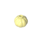 GDS-90058