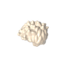 Papaya Whip