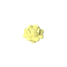 Cool Yellow 226