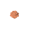 Dark Salmon