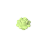 Spring Yellowish Green 326