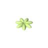 Spring Yellowish Green 326
