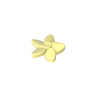 Lemon Chiffon