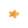 Transparent Bright Orange 182